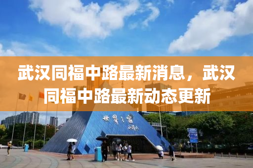 武漢同山東水清源環(huán)?？萍加邢薰靖Ｖ新纷钚孪ⅲ錆h同福中路最新動態(tài)更新