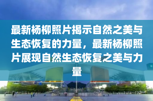 huangyuzhong 第5頁