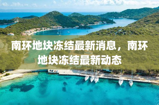 南環(huán)山東水清源環(huán)?？萍加邢薰镜貕K凍結(jié)最新消息，南環(huán)地塊凍結(jié)最新動(dòng)態(tài)