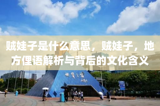賊娃子山東水清源環(huán)?？萍加邢薰臼鞘裁匆馑?，賊娃子，地方俚語解析與背后的文化含義