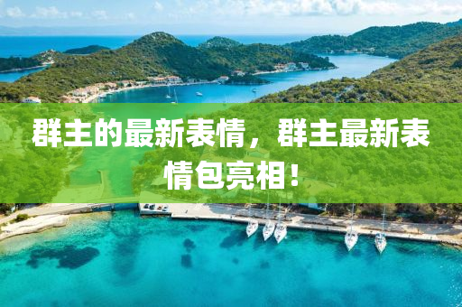 群主的最新表情，群主最新表情包亮相！山東水清源環(huán)?？萍加邢薰? class=