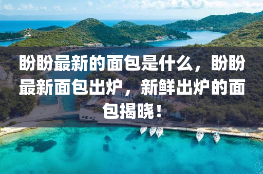 盼盼最新的面包是什么，盼盼最新面包出爐，新鮮出爐的面包揭曉！山東水清源環(huán)?？萍加邢薰? class=