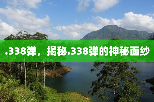 .338彈，揭秘.338彈的神秘面紗