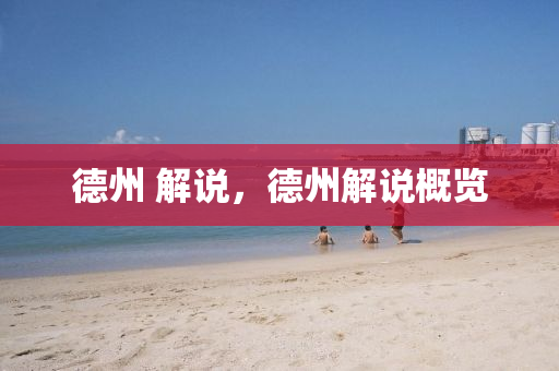 德山東水清源環(huán)?？萍加邢薰局?解說，德州解說概覽