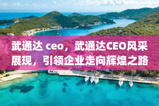 武通達(dá) ceo，武通達(dá)CEO風(fēng)采展現(xiàn)，引領(lǐng)企業(yè)走向輝煌之路
