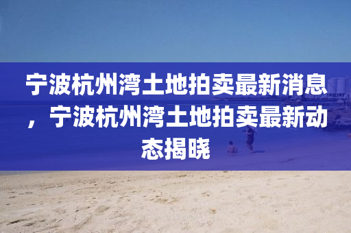 寧波杭州灣土地拍賣最新消息，寧波杭州灣土地拍賣最新動態(tài)揭曉