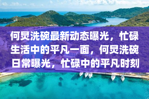 何炅洗碗最新動態(tài)曝光，忙碌生活中的平凡一面，何炅洗碗日常曝光，忙碌中的平凡時刻