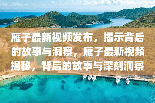 雁子最新視頻發(fā)布，揭示背后的故事與洞察，雁子最新視頻揭秘，背后的故事與深刻洞察