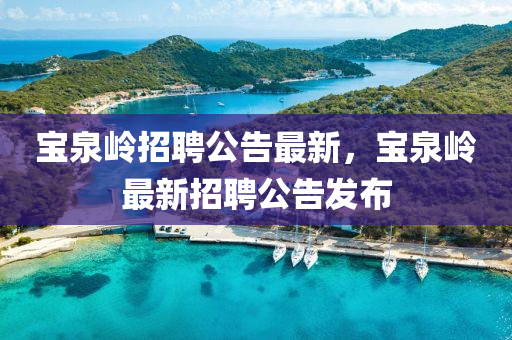 寶泉嶺招聘公告最新，寶泉嶺最新招聘公告發(fā)布