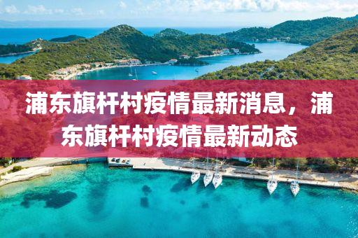 浦東旗桿村疫情最新消息，浦東旗桿村疫情最新動態(tài)